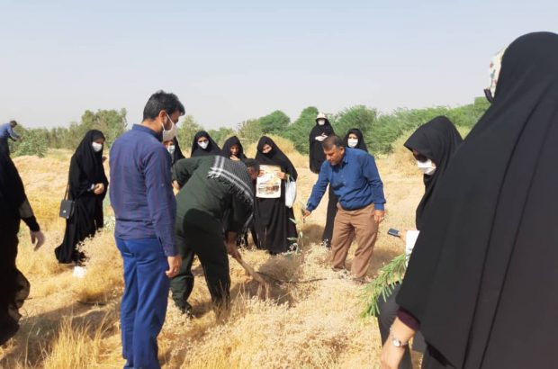 ۳۰۰ نهال در شهرستان رامهرمز کاشته شد