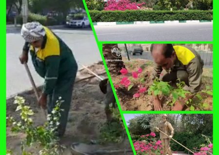 آغاز عملیات طرح تنوع بخشی فضای سبز شهر اهواز