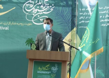 به زودی معرفی ۸ رقم امیدبخش خرما در خوزستان