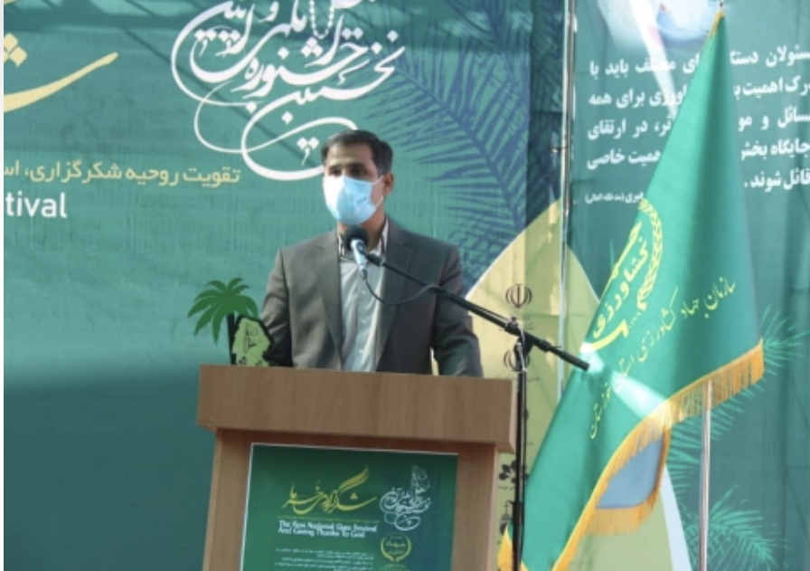 به زودی معرفی ۸ رقم امیدبخش خرما در خوزستان