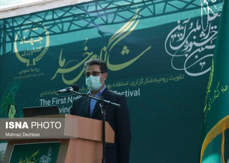 افزودن سالانه ۱۳۰۰ هکتار به نخلستان‌های کشور
