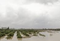 طوفان ۸۵ کیلومتری در مازندران