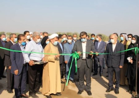 توسعه نخلستان های خوزستان بااجرای طرح جامع نخیلات