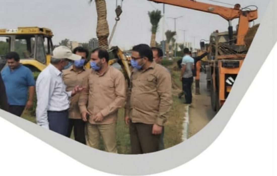 بازدید شهردار اهواز از روند کاشت نخل های جاده ساحلی غرب