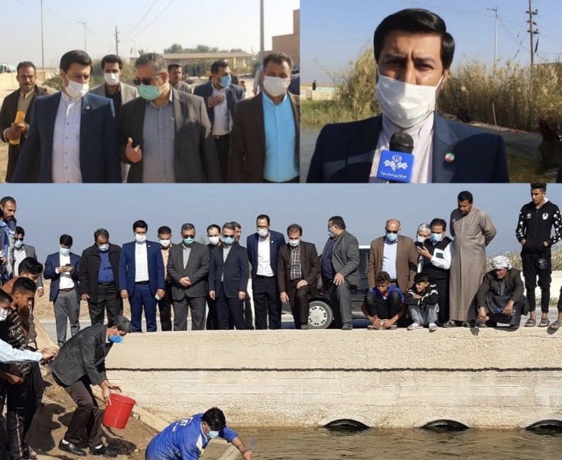 ۸۰ هزار قطعه بچه ماهی در تالاب شادگان رهاسازی شد