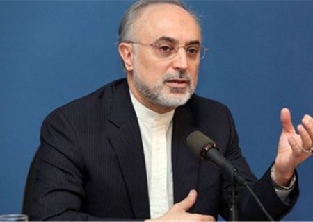 انتقاد رئیس سازمان انرژی اتمی از مجلس و شورای نگهبان