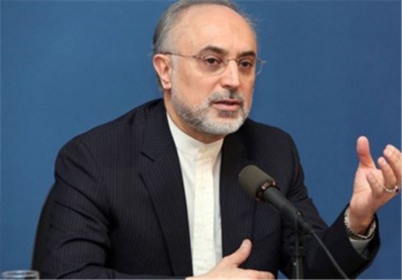 انتقاد رئیس سازمان انرژی اتمی از مجلس و شورای نگهبان