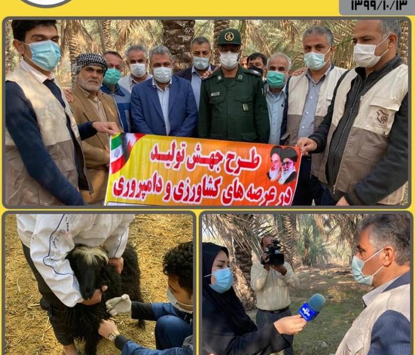اجرای طرح جهش توليد در بخش کشاورزی آبادان