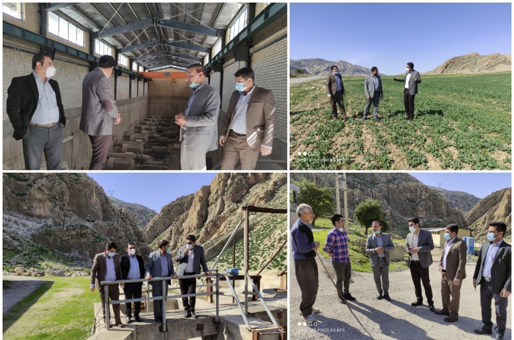 کشاورزی محور توسعه پایدار شهرستان