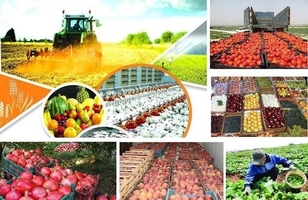 تجلیل از تولیدکنندگان کشاورزی خوزستان با حضور رئیس جمهور