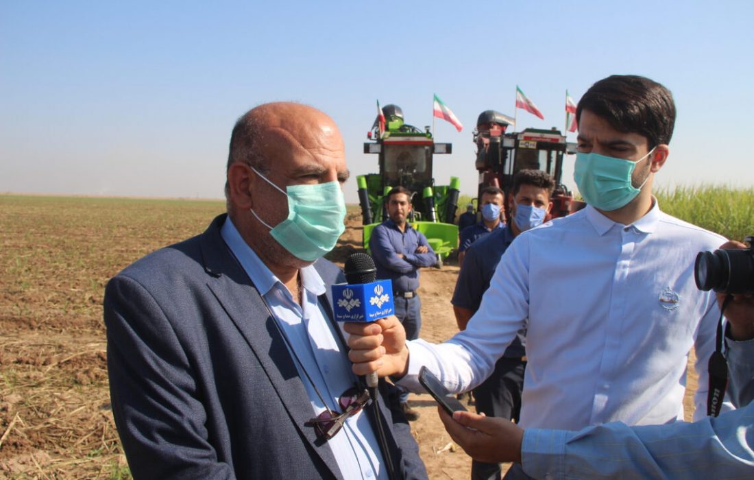 عبور تولید شکر از مرز 500 هزار تن در شرکت توسعه نیشکر