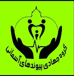 مدیر گروه جهادی پیوندهای آسمانی استان خوزستان: شرکت ملی مناطق نفتخیزجنوب همکاری شایسته ای با گروه های جهادی ندارد