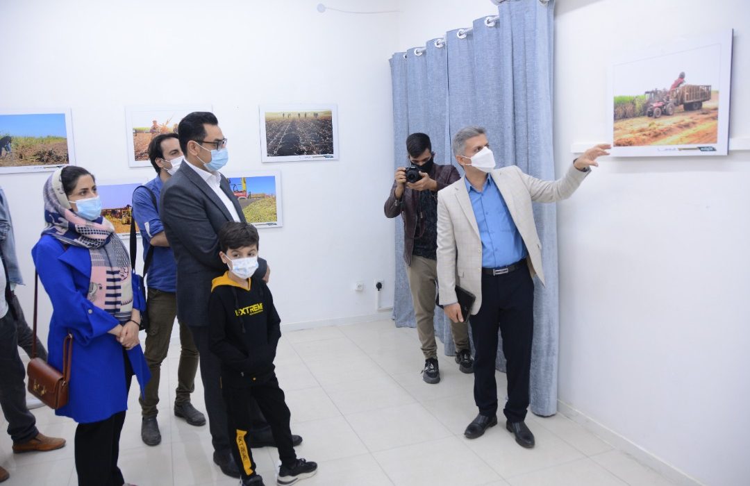 جمع عکاسان خوزستانی در گالری ریم اهواز؛ آدینهی پاییزی اهواز با «شکرستان ایران» شیرین شد