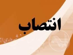 معاون برنامه ریزی و توسعه سرمایه انسانی شهرداری اهواز منصوب شد