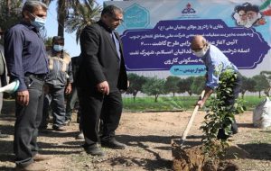 نهضت کاشت درختان مثمر مناطق نفتخیز جنوب با غرس ۲۰ هزار اصله نهال در اهواز آغاز شد