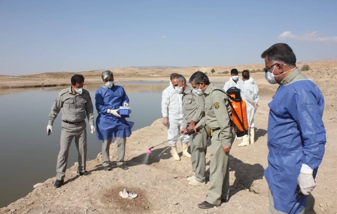 با شروع فصل مهاجرت :پایش آنفولانزای فوق حاد پرندگان در ایستگاه های آبزی خوزستان