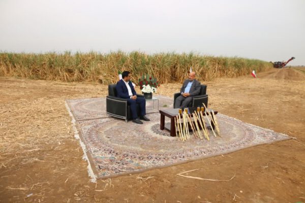 سال شکوفایی صنعت نیشکر
