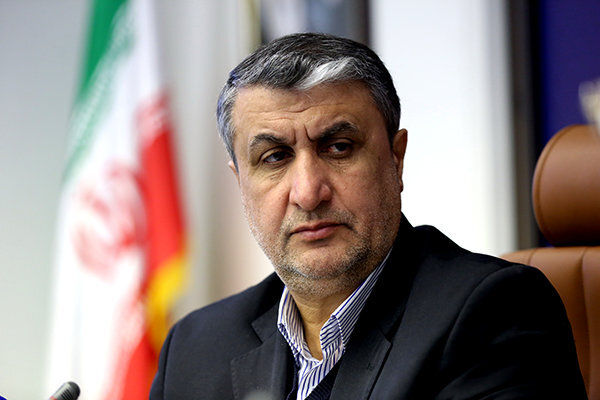 رییس سازمان انرژی اتمی ایران: نیروگاه اتمی کارون در خوزستان احداث می شود