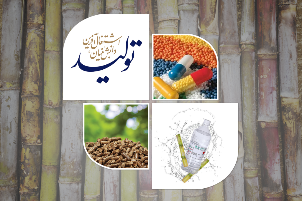 نگاهی به دستاوردهای دانش‌بنیان نیشکر در سالی که گذشت؛ ردای دانش بر تن سبز نیشکر