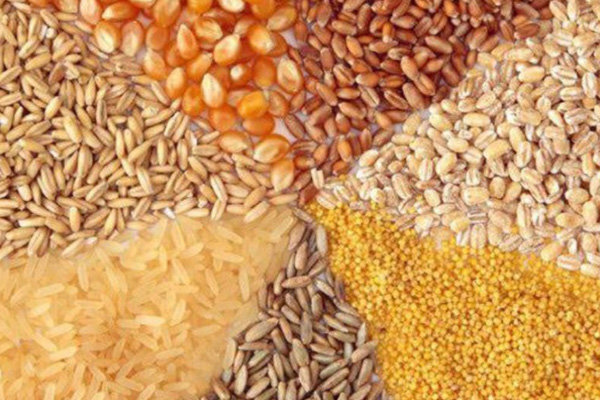 ادامه واردات نهاده‌های دامی به کشور از بندر امام