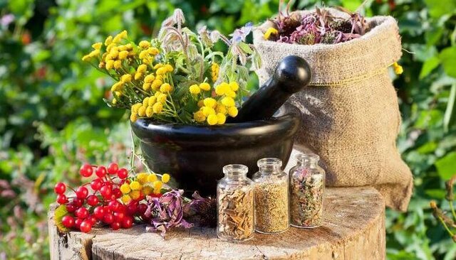 کشف ۷ محموله گیاهان دارویی قاچاق در دزفول