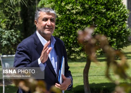 رئیس سازمان انرژی اتمی ایران وارد خوزستان شد