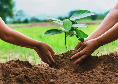 کاشت ۵۰۰ اصله ‌نهال‌ همزمان با روز درختکاری در آبادان