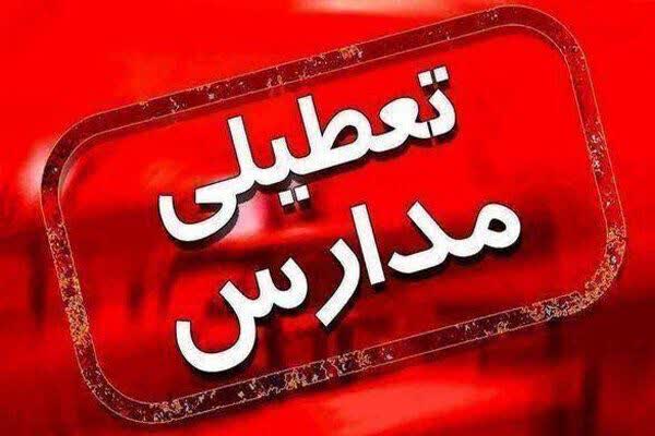 خبر فوری