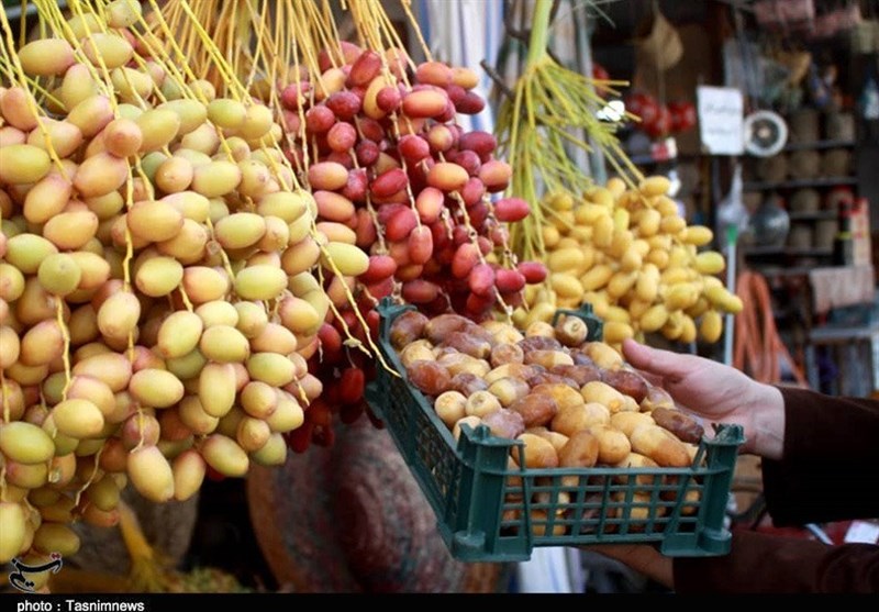 صدور خرمای شادگان به اروپای شرقی و آسیای غربی