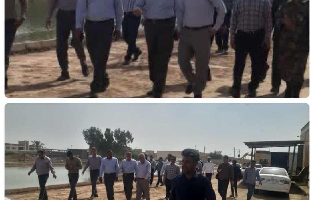گزارش تصویری