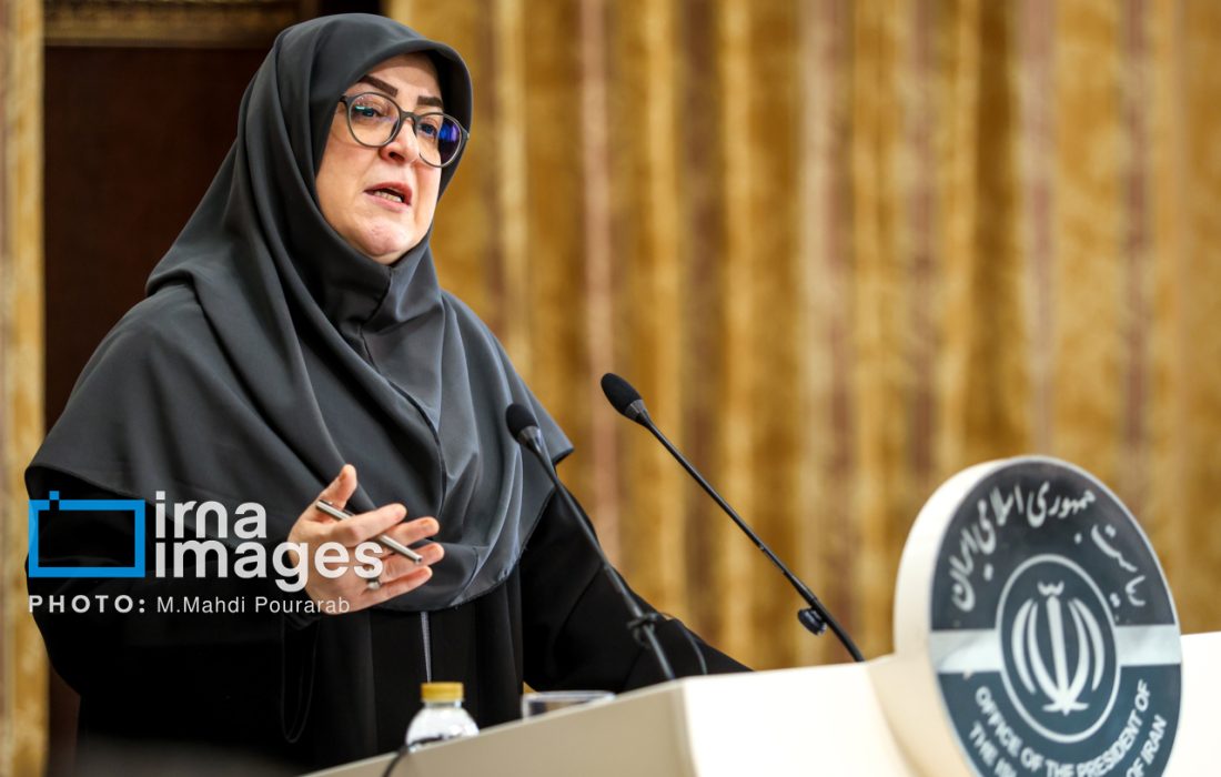 مهاجرانی: واردات خودرو در جلسه هیات دولت تصویب شد