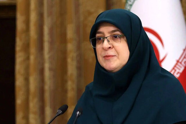 مهاجرانی: دولت با تمام قوا پشتیبان تصمیمات نیروهای مسلح است