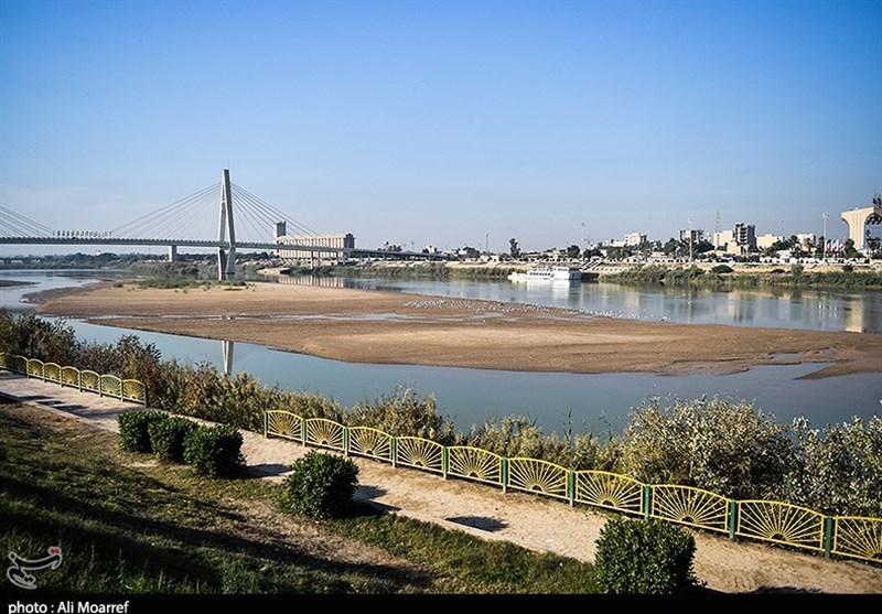 کارون دیگر توان برداشت از سرشاخه‌ها را ندارد