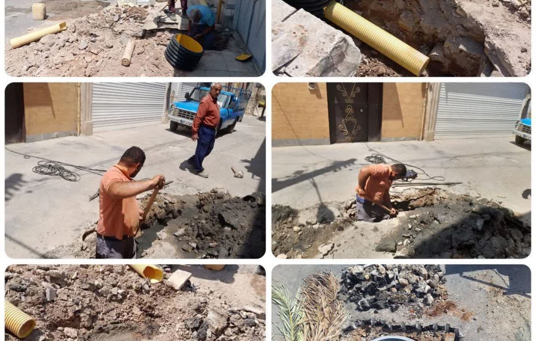 گزارش تصویری