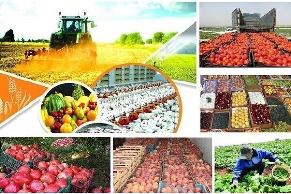 مطالبه «بومی‌سازی» مقررات در برابر ایده «بانکداری اکوسیستمی»