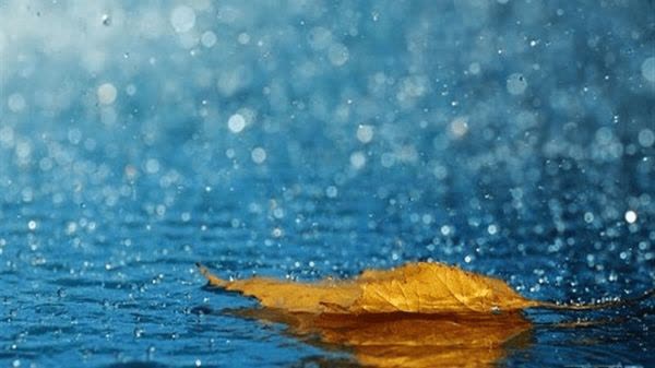 پیشبینی ۲۰۰ میلیمتر بارندگی در خوزستان