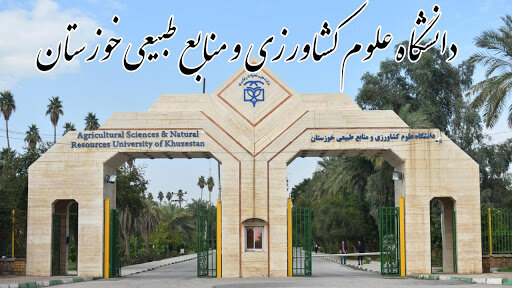 اولویت ما حفظ پویایی آموزشی است/ لزوم بهره‌گیری اساتید و دانشجویان از «آموزش ترکیبی»