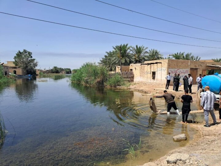آغاز رهاسازی بچه‌ماهیان بومی در منابع آبی خوزستان
