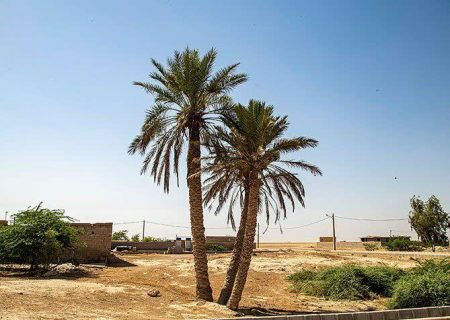 پیگیری 5 اولویت اساسی برای حل مشکلات بخش غیزانیه اهواز