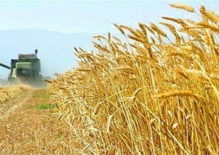 بزودی مطالبات گندمکاران دزفول پرداخت می‌شود/ کشاورزان نگران نباشند