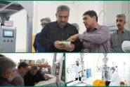ظرفیت‌های صادراتی شکرهای دارویی و طعم‌دار فعال شود