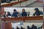 گام مهم در صیانت از میراث تاریخی شوش؛ ۲۵ پرونده ثبتی در شورای ملی ثبت آثار پذیرفته شد